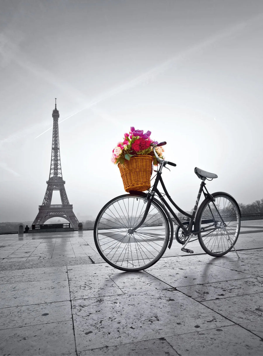 Romantic Promenade in Paris 500 PCS - High Quality Collection Clementoni
